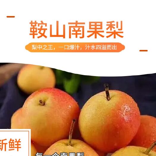 鞍山 鞍山特产正宗南果梨5斤礼盒 当季新鲜水果现货包邮秒发