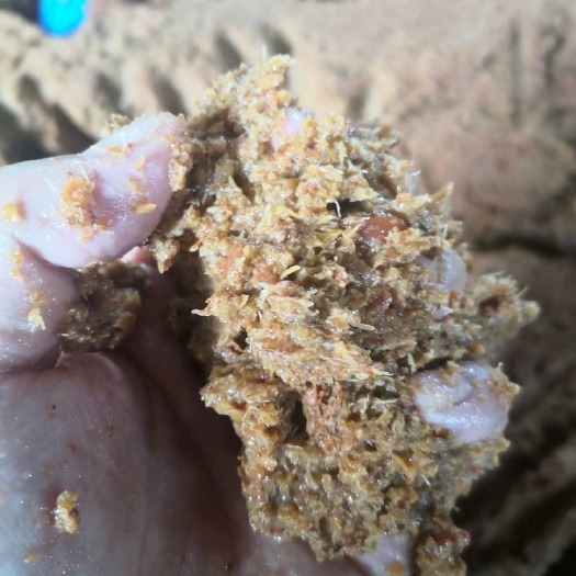 石家庄山楂渣有开胃，消食，提高采食量，降低血脂，胆固醇的效果。