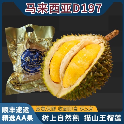 汕头榴莲马来西亚猫山王榴莲D197液氮冷冻当季水果整果带壳