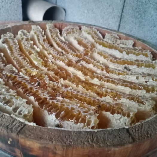 长阳县蜂蜜，质量有保障。