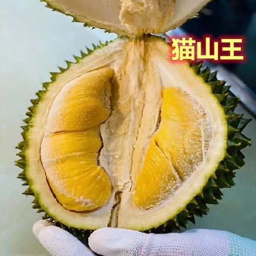 深圳马来西亚d197猫山王榴莲