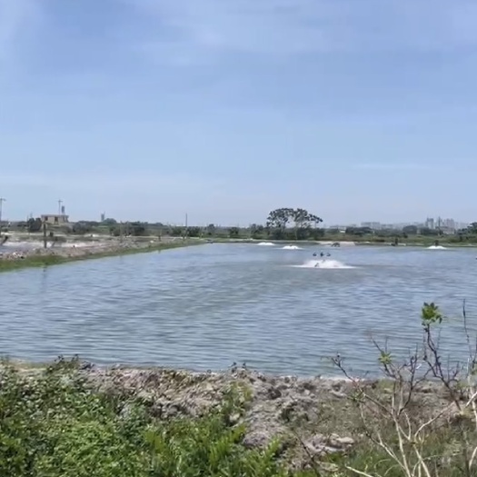 北海千亩鱼虾塘便宜出租