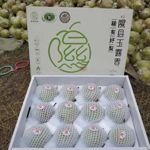 现有自家种植的山西省隰县玉露香梨出售，有意者可以与我联系
