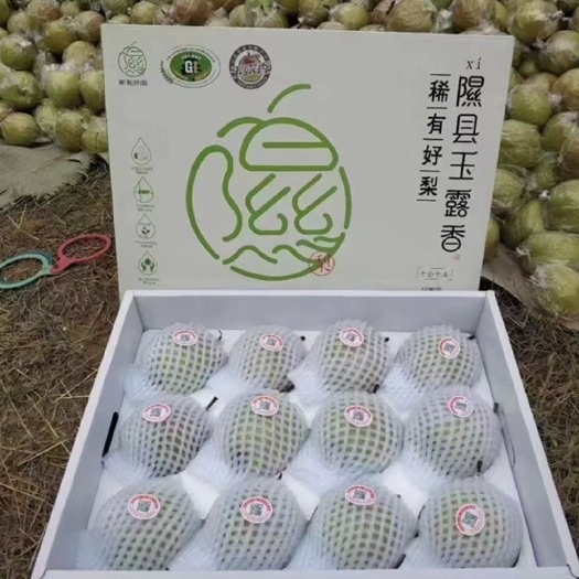 隰县现有自家种植的山西省隰县玉露香梨出售，有意者可以与我联系