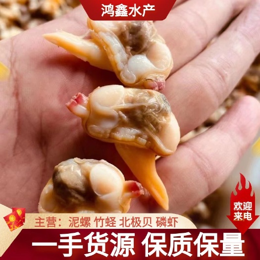 黄蚬肉，黄蚬子肉，蚬肉，无沙蚬肉，黄蚬子肉，蛤蜊肉