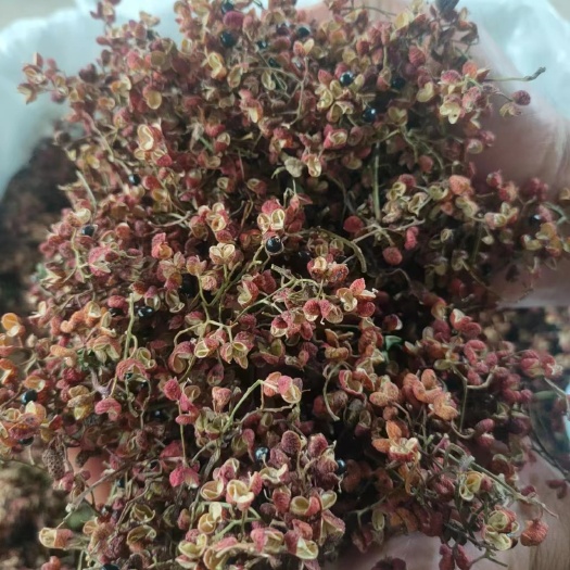 鄢陵县红花椒 现货 干花椒