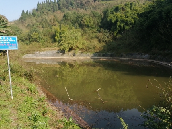 重庆市巴南二圣镇70亩鱼塘出租，一个11个塘，水源山水。