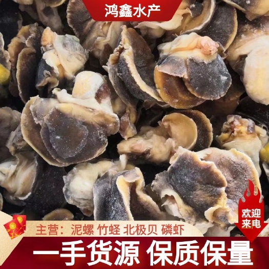 东港市玉螺肉，香螺肉，猫眼螺肉，玉螺肉，