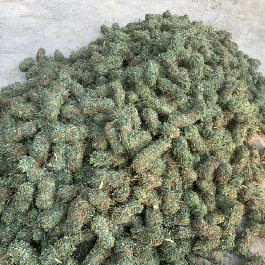 玉林鸡骨草