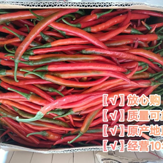 雷州市〖优选〗全红三号线椒鲜辣椒基地，诚信经营货源充足全国发货
