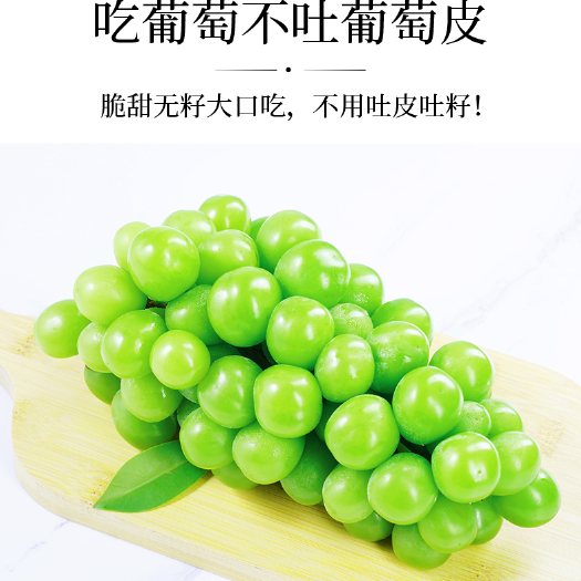枞阳县阳光玫瑰直采现发基地供应