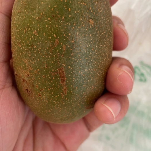 百色广西乐业富硒猕猴桃，绿肉红心，产地直发。高甜度，量大品质佳。