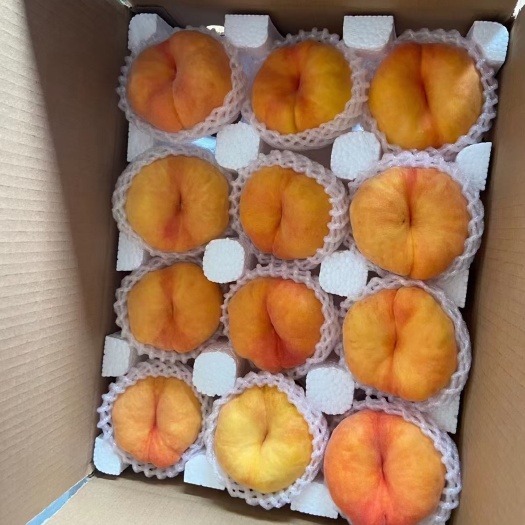 沂源县黄金油蟠桃苗 黄金油潘桃