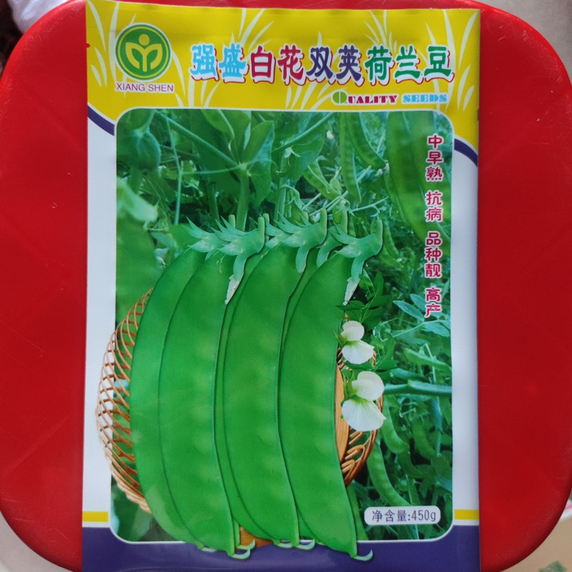 广州强盛白花双荚荷兰豆种子450克早熟香甜脆嫩荷兰豆品种产量高