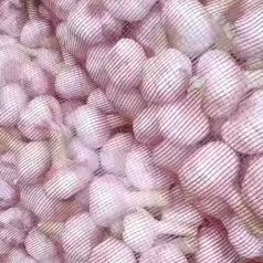 邳州市土鲜蒜，扒皮鲜蒜