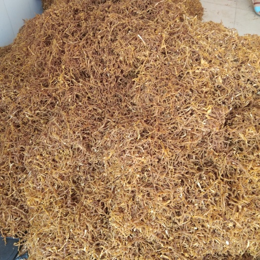 笋丝   广西八渡笋