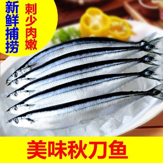 连云港秋刀鱼新鲜鲜活冷冻大号海捕深海鱼日式秋刀鱼烧烤食材香煎秋刀鱼
