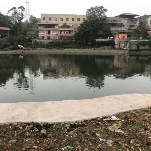 重庆市重庆歌乐山公园周边12亩钓场出租