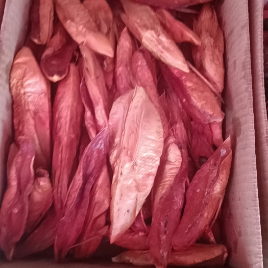 长沙鱼肚皮，湖南烟熏腊鱼酒店快餐专用
