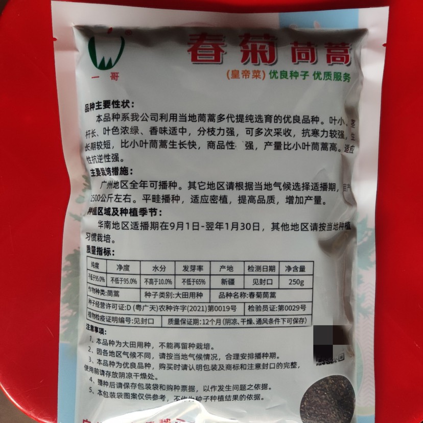 大叶茼蒿种子  皇帝菜种子 小叶茼蒿种子 香味横溢 多次采收