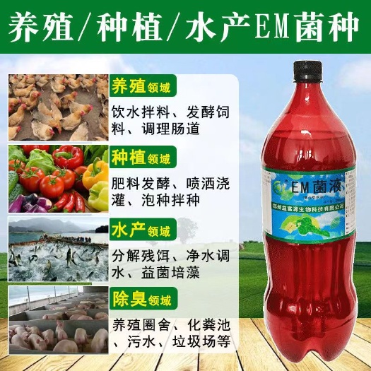 郑州益富源em菌种家种一代原菌农林渔牧环保除臭水产通用性菌种批发