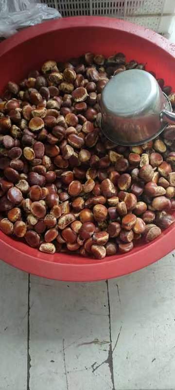 长沙新鲜板粟