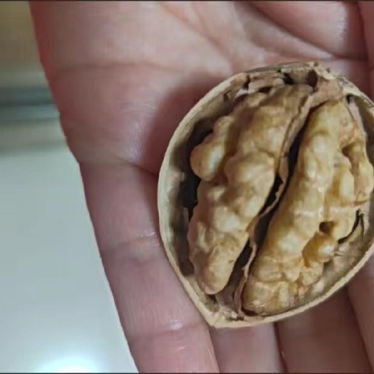 淄博核桃仁