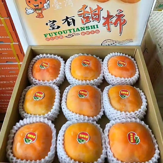 高州市广东高州甜脆柿．口感脆甜．￼削皮直接可以吃的那种．需要大量的