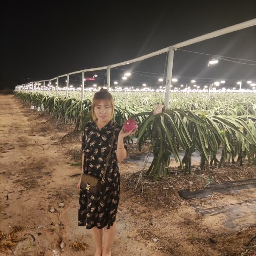 海兴县发酵羊粪 羊粪肥 高温发酵腐熟羊粪