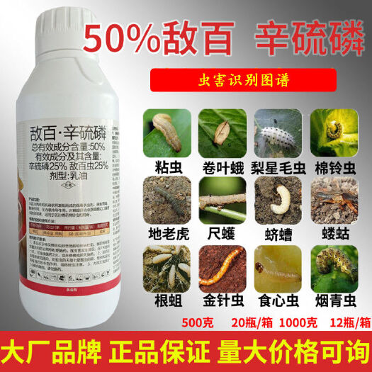 50%敌百辛硫磷 地下害虫棉铃虫杀虫剂农药批发