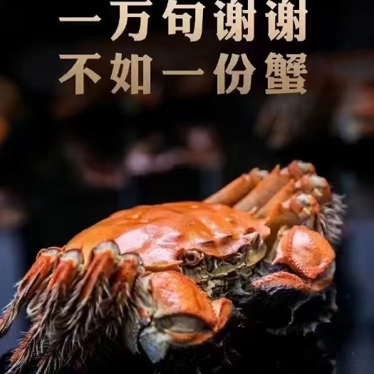 兴化市红膏大闸蟹
