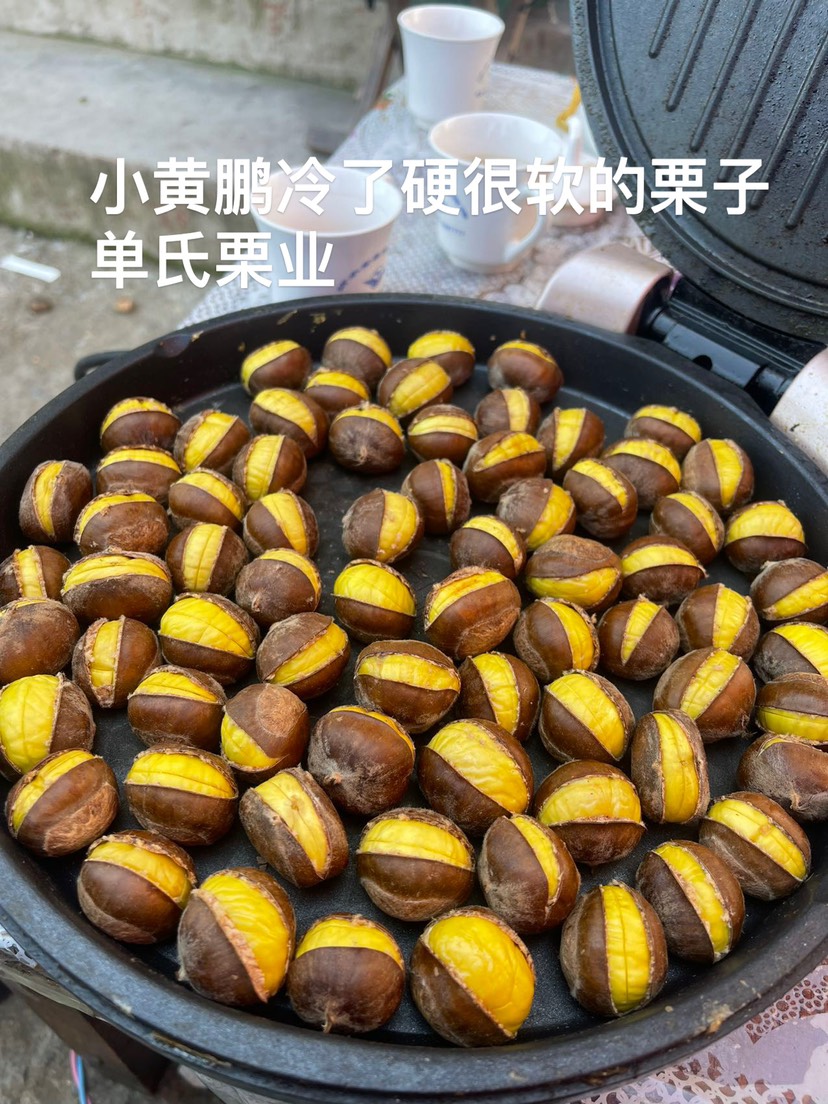 郯城縣2022年小黃鵬被稱為(3113)口感軟糯香甜，油栗