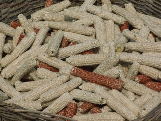 大理市玉米芯玉米芯磨牙棒