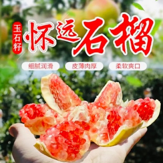 怀远县怀远秋天的第一个石榴，水果界的雅诗兰d，吃在嘴里甜在心里！