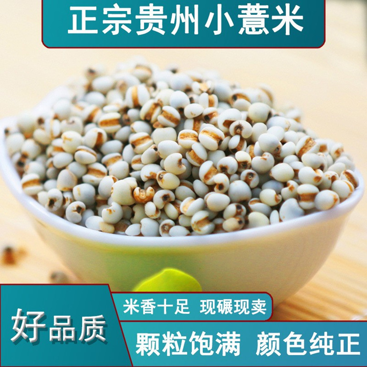 临沂薏仁米   现货批发贵州（大  小）粒薏米五谷杂粮袋装50斤