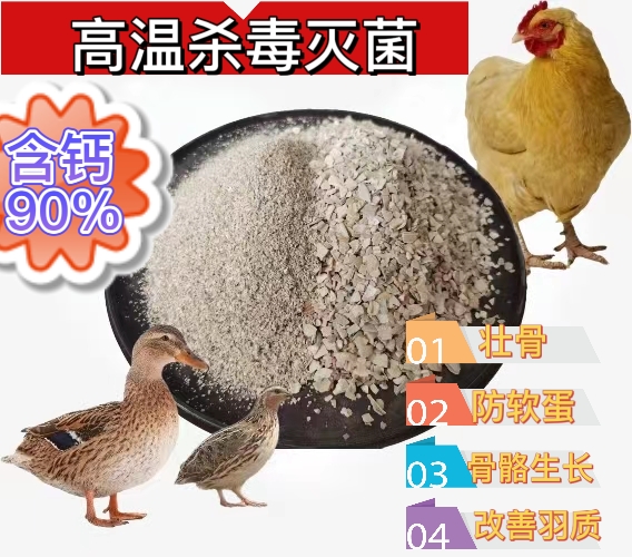 海興縣貝殼粉大顆粒小顆粒，雞、鴿，鵪鶉及各種鳥禽補鈣專用飼料添加