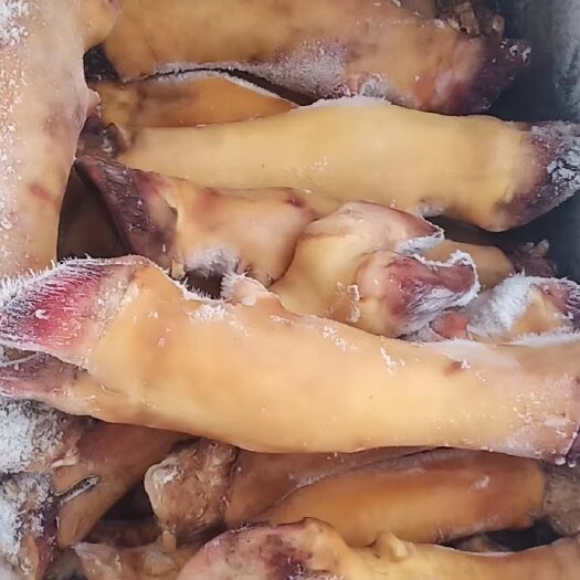 无棣县纯火烧牛蹄 不添加任何添加剂 厂家直销  长期大量有货