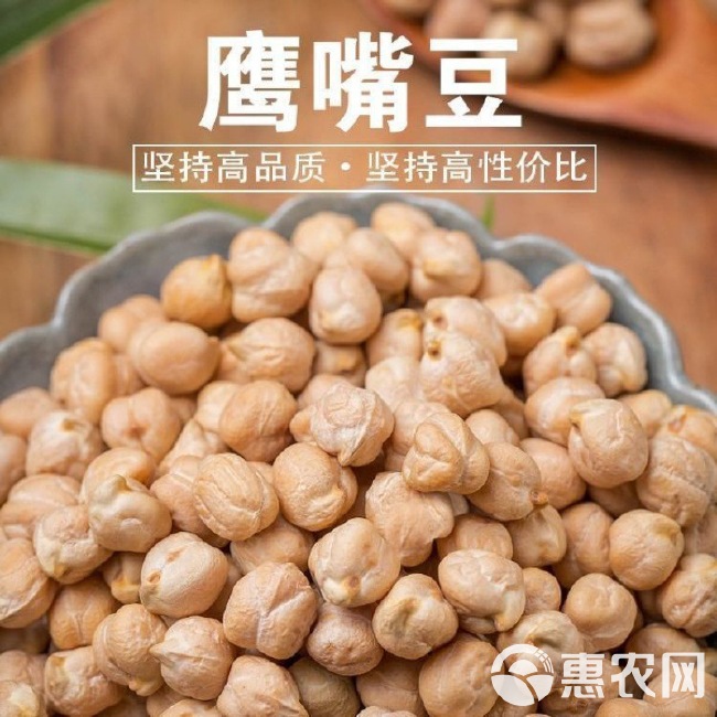 鹰嘴豆  现货批发鹰嘴豆三角豆鸡心豆(大  中 小)量大从优