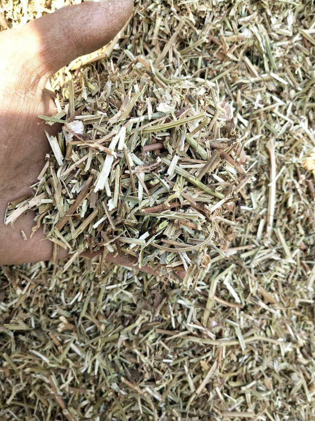 牛羊草料羊草飼料草 花生秧草料花生秧草粉 馬驢兔鴕鳥鵝草料