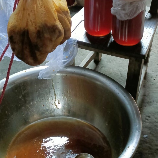 岚皋县陕西土蜂蜜