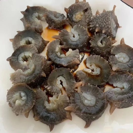即食海参山东 厂家直销批发 40-80头,全国各地当日达