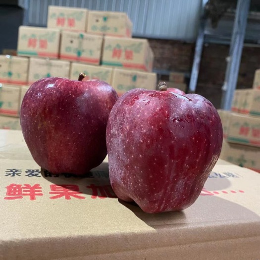 清水县现货9月新果甘肃天水花牛苹果 新鲜当季水果非红元帅蛇