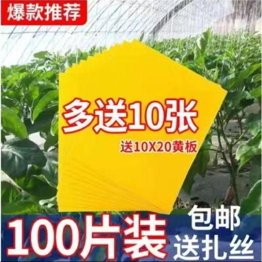 莘县诱虫板  ，黄色沾板，物理杀虫，双面粘胶，不怕雨淋日晒