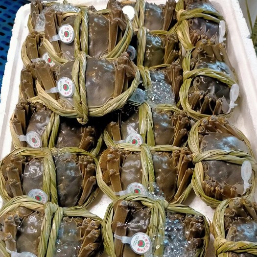 兴化市兴化大闸蟹