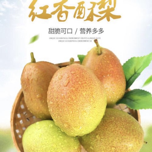 赵县香梨红香酥，甘甜可口皮薄甘甜，价格低，可加工可代发，皇冠梨，