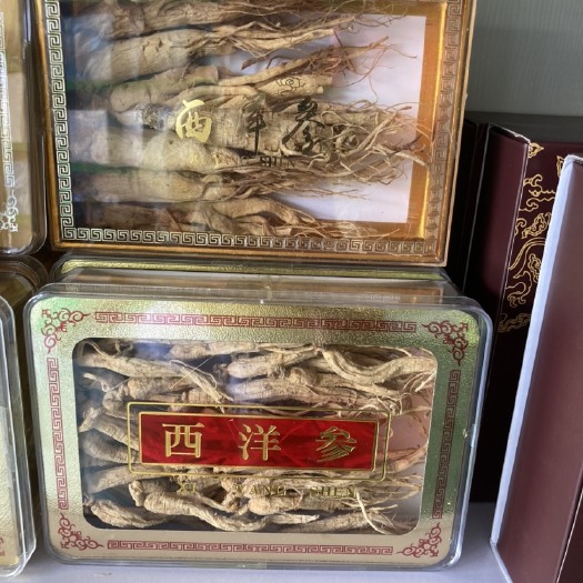 勉县西洋参