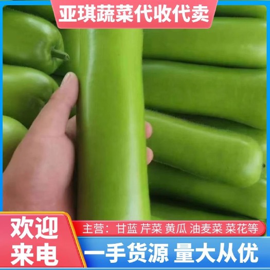 邯郸瓠瓜。供应超市 电商 市场 对接