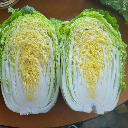 黄心大白菜 精品黄心白菜矮颗玲珑黄产地直发质量保证常年供应批