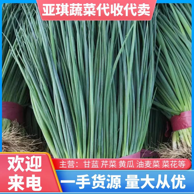 ƷС Ӧ  г  ʳ Խ