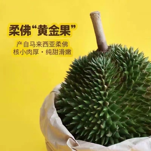 广州马来西亚D101红肉榴莲